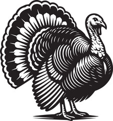 Black and White Turkey Bird Vector Illustration