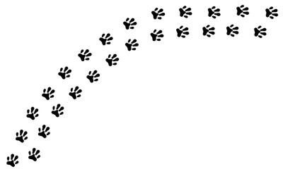 Cat footprints walk long and curved