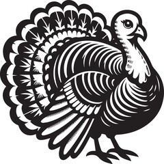 Black and White Turkey Bird Vector Illustration