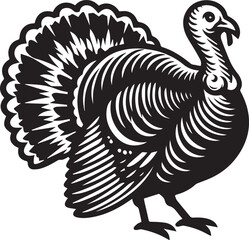 Black and White Turkey Bird Vector Illustration