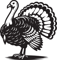 Black and White Turkey Bird Vector Illustration