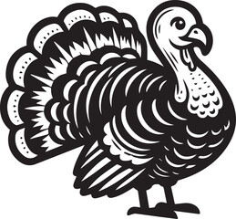 Black and White Turkey Bird Vector Illustration