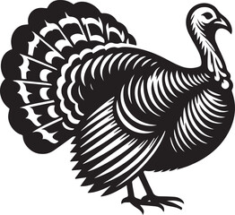 Black and White Turkey Bird Vector Illustration