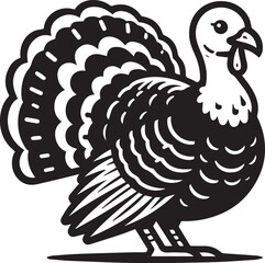Black and White Turkey Bird Vector Illustration