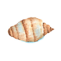 Large spiral beige and blue watercolor seashell. Sea life isolated element. Aquarium decoration. Seabed. Underwater world biome clipart. Hand-drawn watercolor illustration