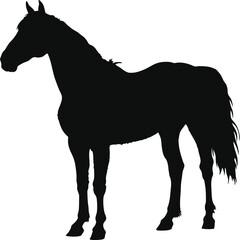 Black Silhouette of a Horse Standing Sideways