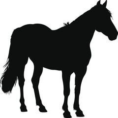 Black Silhouette of a Horse Standing Sideways