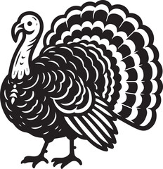 Black and White Turkey Bird Vector Illustration