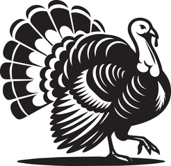 Black and White Turkey Bird Vector Illustration