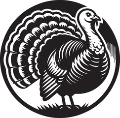 Black and White Turkey Bird Vector Illustration
