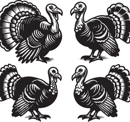 Black and White Turkey Bird Vector Illustration