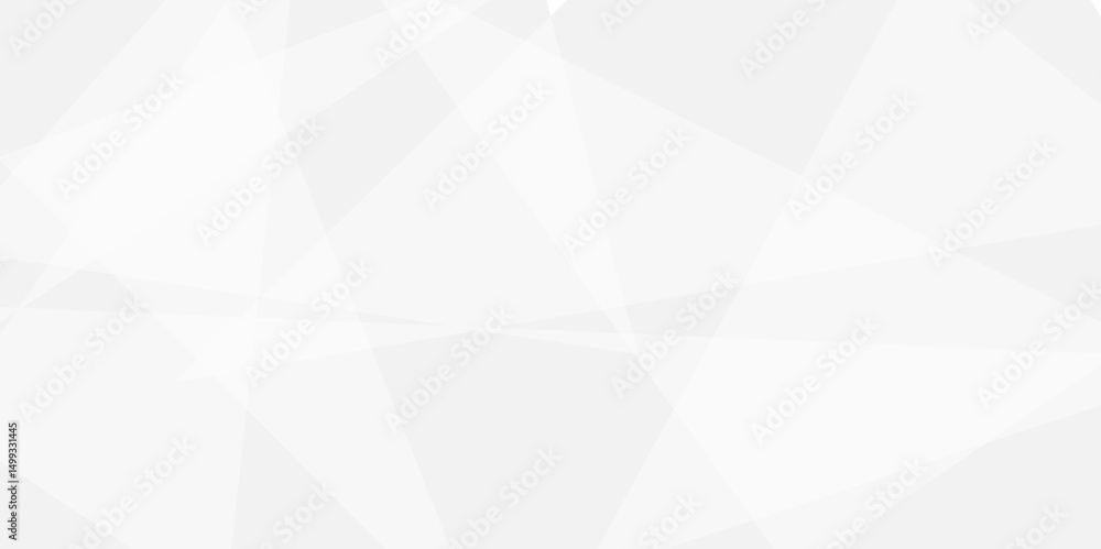 Fototapete geometry shine and layer element vector for presentation design. abstract background with gray backg