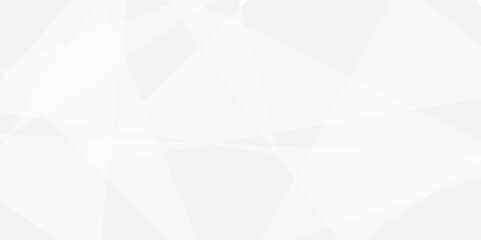 Geometry shine and layer element vector for presentation design. Abstract background with gray background with texture, white abstract modern background. Decorative web layout or poster, banner.design