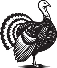 Black and White Turkey Bird Vector Illustration