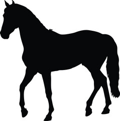 Black Silhouette of a Horse Walking Sideways
