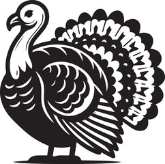 Black and White Turkey Bird Vector Illustration