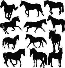 Collection of Twelve Horse Silhouettes in Various Poses