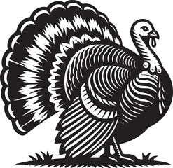 Black and White Turkey Bird Vector Illustration