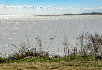 Ostsee Fehmarn