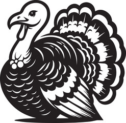 Black and White Turkey Bird Vector Illustration