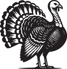 Black and White Turkey Bird Vector Illustration