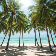 Fototapeta premium Tropical Beach Scene with Palm Trees and Clear Ocean