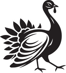 Black and White Turkey Bird Vector Illustration