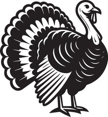 Black and White Turkey Bird Vector Illustration