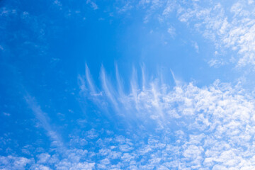 Cirrus clouds streaking above altocumulus