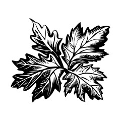 A vintage illustration showing fall leaves