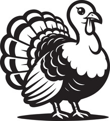 Black and White Turkey Bird Vector Illustration
