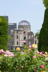 広島平和記念公園の原爆ドームとバラの花