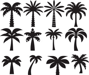 Twelve Black Silhouette Palm Tree Icons Set