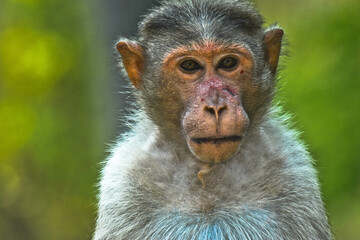 Money with a face scar