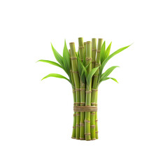 Obraz premium sugarcane isolated on a transparent background, in a PNG format