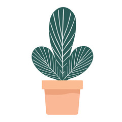 Illustration of  dark green plant with white veins in  beige pot. Flat design. One icon isolated on  white background.