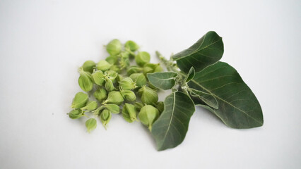 Ashwagandha Dry Root Medicinal Herb with Fresh Leaves, also known as Withania Somnifera,...