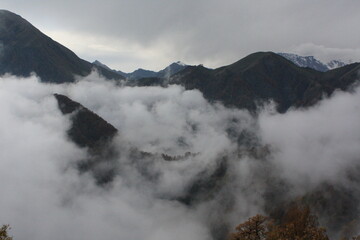 fog in the mountains
