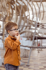 Fototapeta premium A child looks at a whale skeleton at the Zoological Museum in St. Petersburg, Russia, March 6, 2024