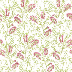 Watercolor images of climbing Meadow grasses in the form of a Seamless Pattern. Hand-drawn blooming wild mouse peas, weeds. Background of botanical plants. For wallpaper, clothes, fabrics.