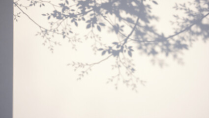 Autumn background room studio with sunlight effect leaves shadow on wall and floor. Summer Spring and cosmetic showroom for product presentation. Minimal beige cream brown backdrop. Mock up design.