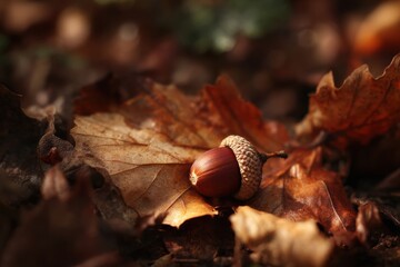 Fallen Acorn on Leaves