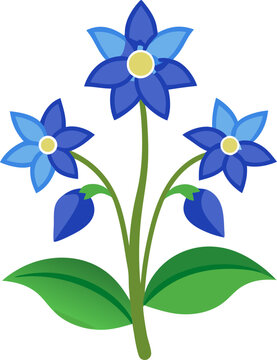 Borage  flowers vector art icon