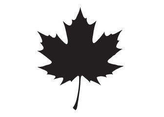 maple leaf logo silhouette vector design, maple leaf black silhouette logo icon, black maple leaves vector illustration, maple leaf canadian icon logo isolated on white background
