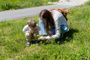Fototapeta premium Mother and son discovering wildflowers in a meadow