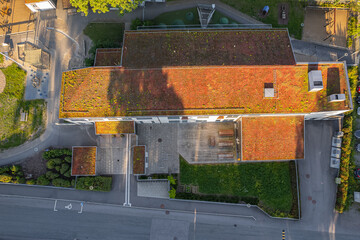 Green building roof, rooftop plants. New modern trend in roof design.