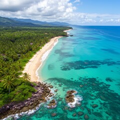Aerial View of a Tropical Beach with Turquoise Water