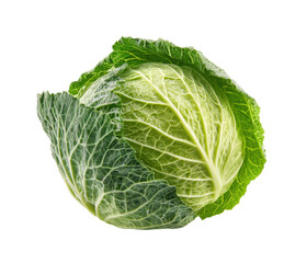 Fresh green cabbage for healthy cooking and meal preparation on a transparent background, cut out