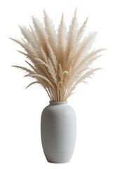 Minimalist grey cement vase with light beige pampas grass, side view 
