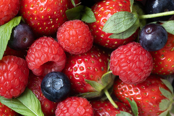 Fresh Strawberries, Raspberries, Blueberries, and Mint Leaves in a Colorful Natural Setting